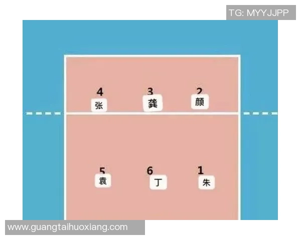 排球专题：深入分析西安排球队员的个人技术与战术素养