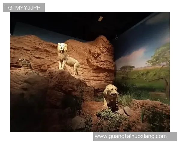 杭州极限运动队防守革新之路探索与实践分析 杭州极限运动队防守革新之路探索与实践分析